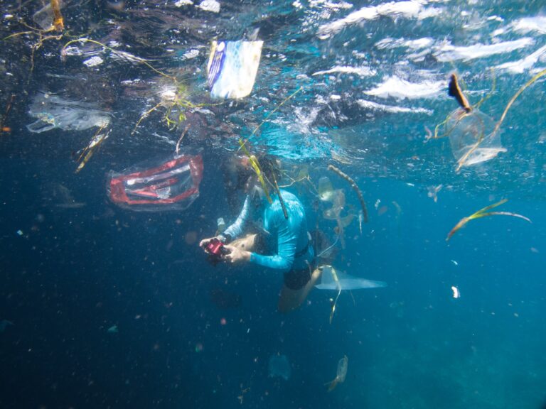 Meereschutz_Mikroplastik_Problem