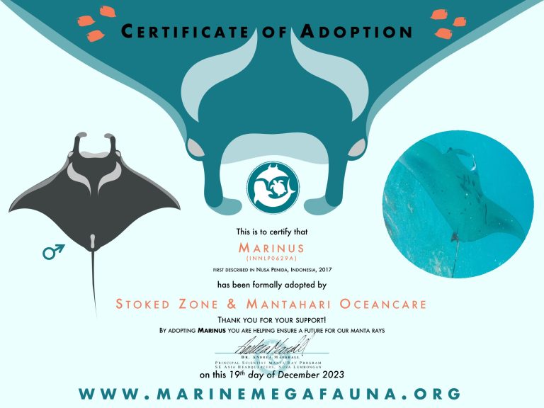 Zertifikat_Adoption_Stoked_Zone_Marinus